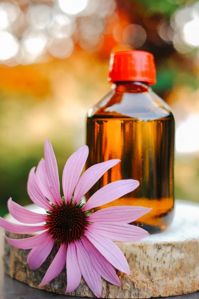 echinacea purpurea extract.Herbal medicinal tinctures.Glass bottle and echinacea flower on blurred garden background.Natural traditional medicine