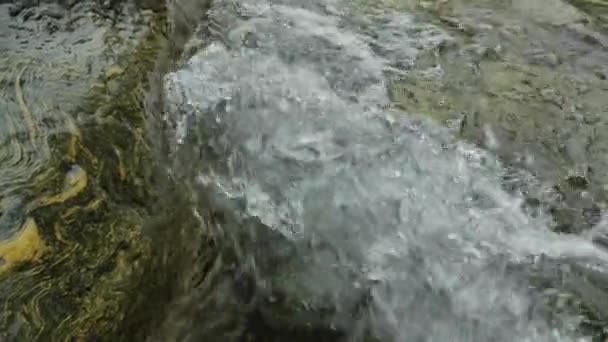 Rushing Water Mountain River Close Falling Snow Stormy Stream Water — Stock Video