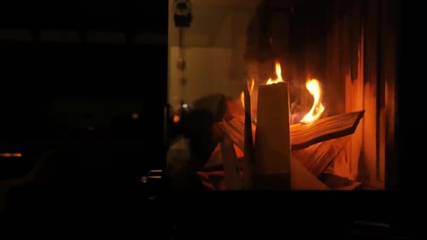 ガラスの火で木を燃やす 内部の暖炉 居心地の良い部屋の背景に暖炉 スローモーション温かみのある居心地の良い家庭的な雰囲気の中で火災 — ストック動画