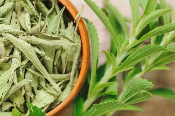 Getrocknetes Stevia Und Grüner Zweigbecher Auf Einem Holzbrett Steviapflanze Zuckerersatz — Stockfoto