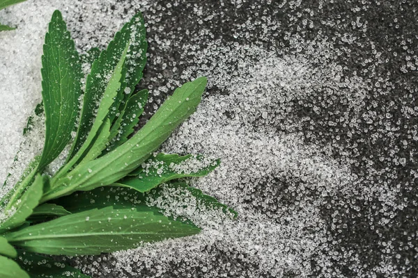 Pflanzliche Süßstoffe Grüner Steviazweig Zucker Auf Schwarzem Schieferhintergrund Zuckerersatz Natürliche — Stockfoto