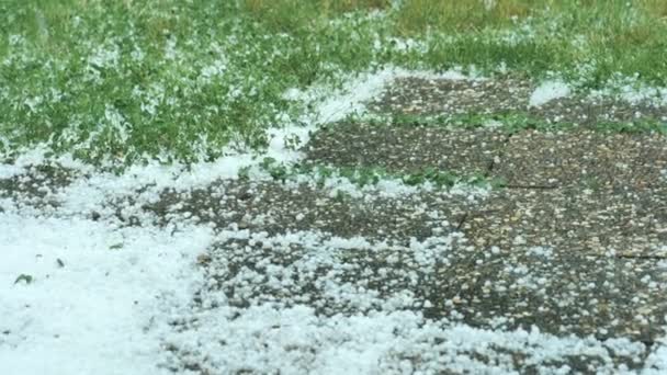 冰雹落在绿色的草坪上 白色的冰雹落在绿草上 动作缓慢 夏天多雨 白雪缓缓落下 4K镜头 — 图库视频影像