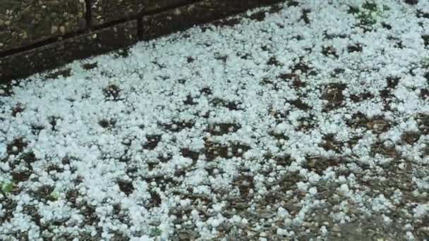 Granizo Cae Charcos Gran Granizo Lento Motion Stormy Verano Weather — Vídeo de stock