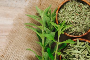 Stevia bitki. Şeker yerine. Kurutulmuş stevia ve tahta bir tahtanın üzerinde çuval bezinde yeşil bir dal. Doğal beslenme tatlandırıcı. Alternatif düşük kalorili sebze tatlandırıcı.. 