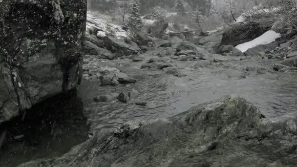 Horská Řeka Pod Padajícím Sněhem Chladné Ponuré Počasí Jarní Krajina — Stock video