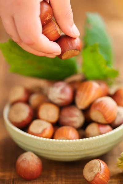 Mano Nut Season Childs Vierte Nueces Una Taza Sobre Una —  Fotos de Stock