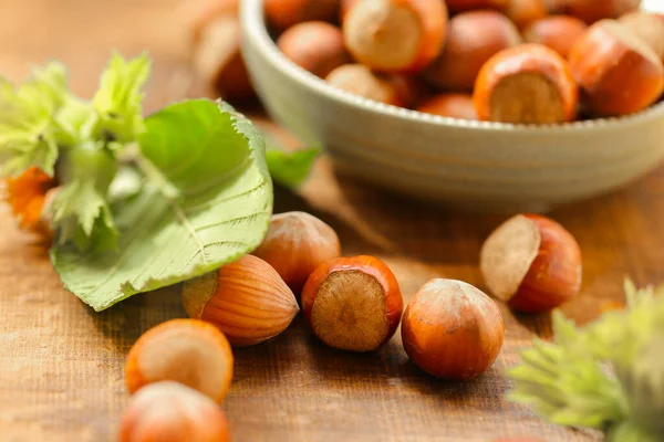 Avelãs Uma Xícara Verde Nut Harvest Season Nozes Uma Xícara — Fotografia de Stock