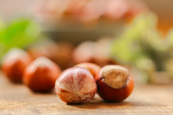 Noisettes Dans Une Tasse Verte Nut Harvest Season Nuts Avec — Photo