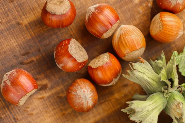 Nut Harvest Season Nuts Green Leaves Healthy Fats Farmed Organic — Stock Photo, Image