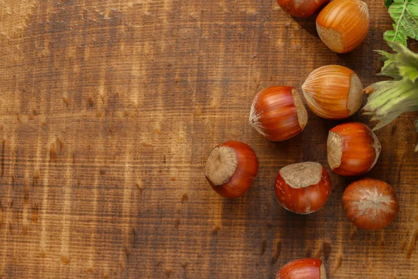 Colheita Avelãs Nut Harvest Season Nuts Com Folhas Verdes Gorduras — Fotografia de Stock