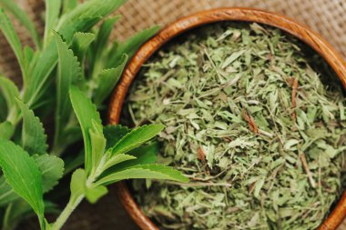 Sebze tatlandırıcı. Stevia özütü. Stevia ekti. Alternatif düşük kalorili şeker. Kurutulmuş stevia ve yuvarlak bir fincanda yeşil dal. Doğal beslenme tatlandırıcı.