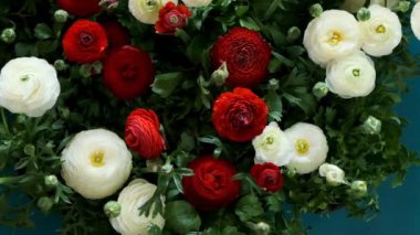 Düğün çiçeği arkaplanı. Çiçeksel güzel doku. Beyaz ve kırmızı ranunculus arkaplanı. Ranunculus çiçeği. Çiçekler. 4k görüntü
