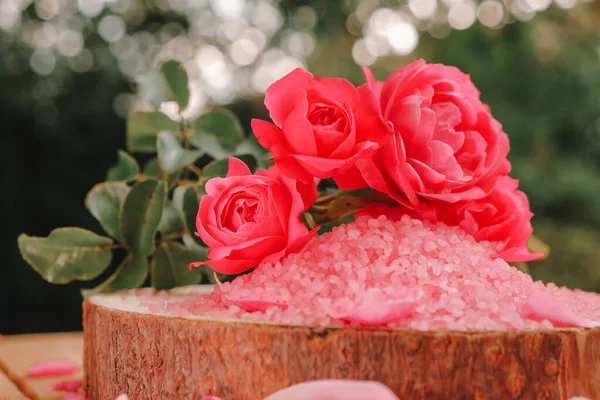 Sal Rosa Rosas Rosa Uma Serra Cortada Jardim Verão Verde — Fotografia de Stock