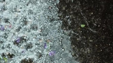 Su birikintilerinde dolu ve yapraklar. Yukarıdan bak. Fırtınalı yaz havası. Bahçede dolu yağıyor. Soğuk yaz havası. Hava durumu fenomeni. 4k görüntü
