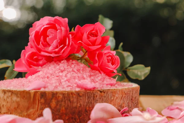 Sal Rosa Rosas Rosa Uma Serra Madeira Cortada Jardim Verão — Fotografia de Stock