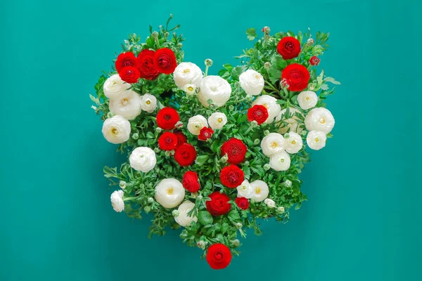flower heart.buttercup flowers heart.White and red ranunculus heart on a turquoise background. Floral beautiful texture.ranunculus flower.Beautiful floral background in red, white and blue colors.