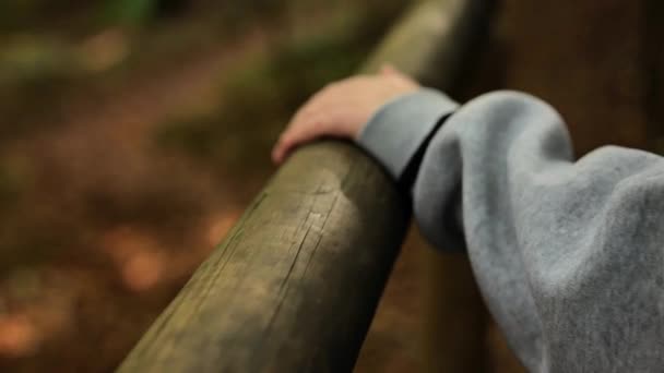 手放在栏杆上的特写 孩子们和男人们手拉着一根木头栏杆在森林里 黄昏时分 漫步在秋天的森林里 4K镜头 — 图库视频影像