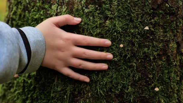 Экология Человек Концепция Природы Человека День Земли Рука Ребенка Бежит — стоковое видео
