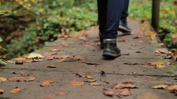 Spacer Jesiennym Lasie Nogi Dziecka Człowiek Zbliżenie Chodzić Drewnianym Moście — Wideo stockowe