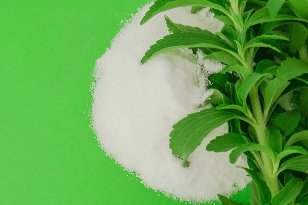 Πράσινη Στέβια Και Κύκλος Ζάχαρης Πράσινο Φόντο Stevia Rebaudiana Φυτικό — Φωτογραφία Αρχείου
