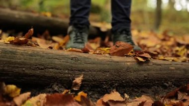 Sonbahar ormanında yürü. Ormandaki çocuk. Deri, yeşil çizmeli bacaklar sonbahar ormanındaki ahşap orman merdivenlerinden aşağı iniyor. Ağır çekim. 4k görüntü