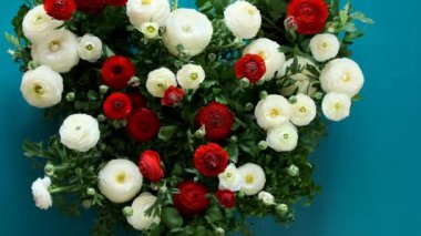 Çiçek kalp. Beyaz ve kırmızı düğün çiçekleri. Mavi arka planda beyaz ve kırmızı ranunculus şeklinde. Ranunculus çiçeği. Çiçekler. Çiçekler. 