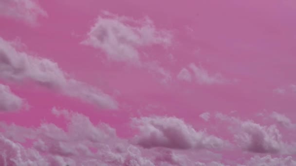 Fundo Céu Rosa Rosa Céu Background Pink Nuvens Timelapse Vídeo — Vídeo de Stock