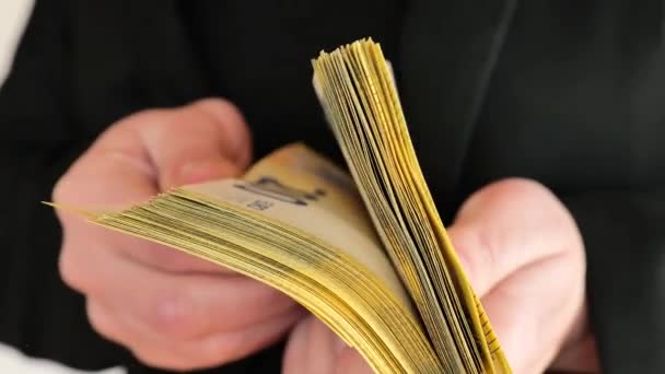 Euro Währung Banknotenstapel Der Nahaufnahme Den Händen Umschlägt Zweihundert Euro — Stockvideo
