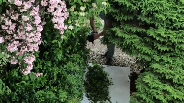 春の咲く庭に植物を植えています 日本のヘアカット以来 庭の低木の形成的なチューニング 4K映像について — ストック動画