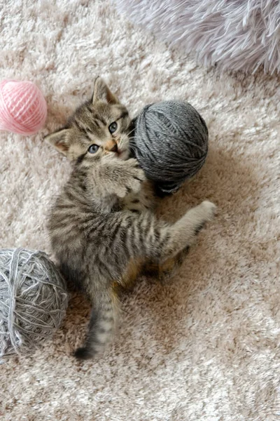 Kedi Yavrusu Bej Bir Halıda Yün Yumaklarıyla Oynar Üst Manzara — Stok fotoğraf