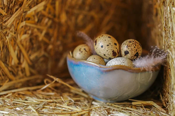 Speckled Eggs Quail Eggs Feathers Clay Cups Set Straw Animal — Stock Photo, Image