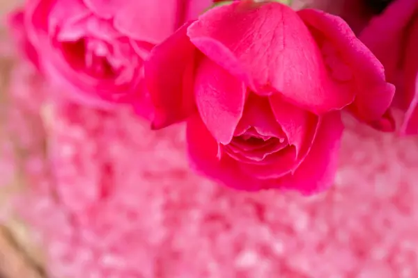 Kosmetika Výtažkem Růže Vůně Aromatická Lázeňská Sůl Výtažkem Růže Růžové — Stock fotografie