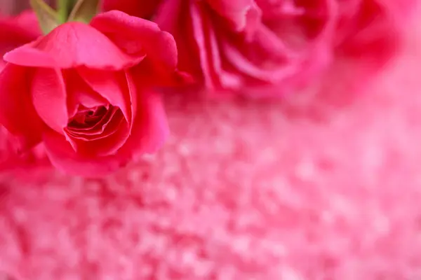 玫瑰精华和香味 玫瑰精华和粉红玫瑰花的矿泉盐 芳香疗法和化妆品 — 图库照片