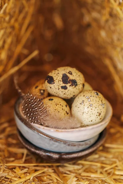 Kil Kaplarda Tüyleri Olan Bıldırcın Yumurtaları Benekli Yumurta Kahverengi Tüylü — Stok fotoğraf