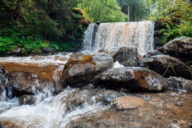 Şelalenin arka planı. Su kaynayıp taşların üzerine dökülüyor. Orman nehri. Su ve yeşil bitkilerle çok güzel doğal bir zemin. 
