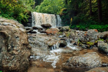Orman nehri. Su ve yeşil bitkilerle çok güzel doğal bir arka plan. Akıcı su büyük taşların üzerine dökülür. Su kaynar ve taşların üzerine dökülür. Damlalar ve su damlaları ile birlikte..