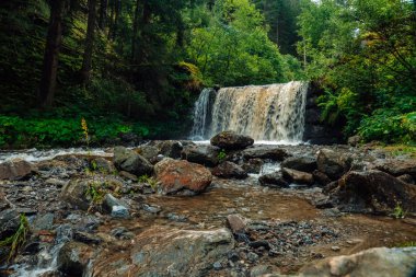 Şelalenin arka planı. Orman nehri. Su ve yeşil bitkilerle çok güzel doğal bir arka plan. Akıcı su büyük taşların üzerine dökülür. Su kaynar ve taşların üzerine dökülür..