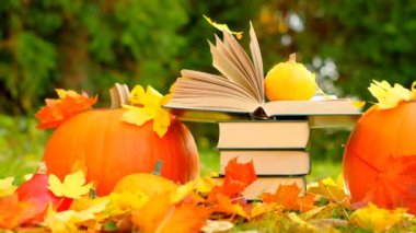 Sonbahar Kitapları. Okula dönüyorum. Bir yığın kitap ve akçaağaç portakalı yaprağı ve balkabağı güneş ışınlarıyla sonbahar bahçesinde hazırlanıyor. 