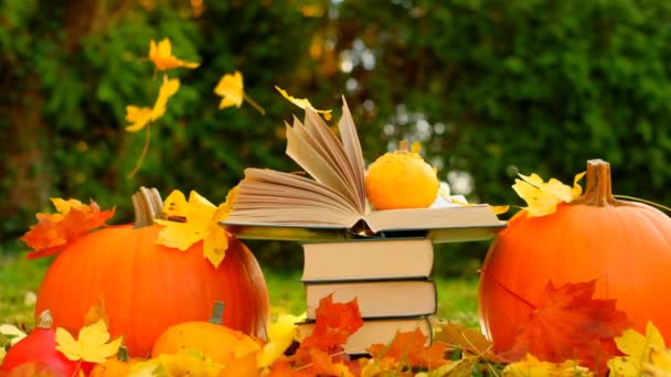 Halloween Könyvek Sárga Levelek Könyvekre Hullnak Tanulás Oktatás Halom Könyv — Stock videók