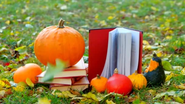 万圣节书籍 秋天的主题读物 黄色的叶子落在书上 一堆堆的书 枫树橙叶和南瓜放置在秋天的花园 4K镜头 — 图库视频影像