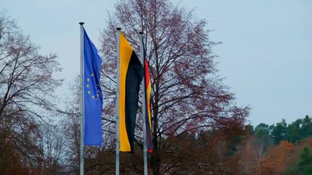 Bandeiras Alemanha Fundo Rua Outonal Bandeira Rasgada Alemã Posição Económica — Vídeo de Stock