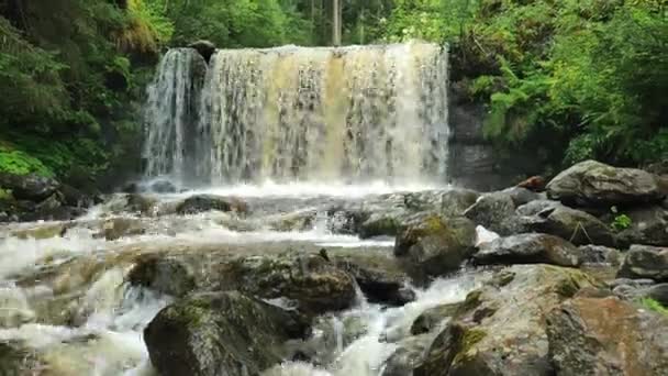Forest River Acqua Che Scorre Cade Grandi Pietra Acqua Bolle — Video Stock