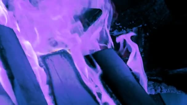 Костер Хэллоуин Темноте Волшебное Пламя Пламя Синего Цвета Background Witches — стоковое видео