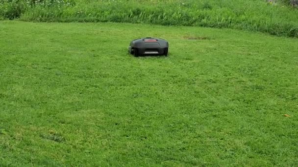 Robot Lawn Mower Garden Gadgets Black Auto Lawn Mower Mows — Stock Video