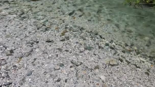 透明な水と岩石の小石の底を持つ山の川 アルパイン山の貯水池 スローモーション 4K映像について — ストック動画