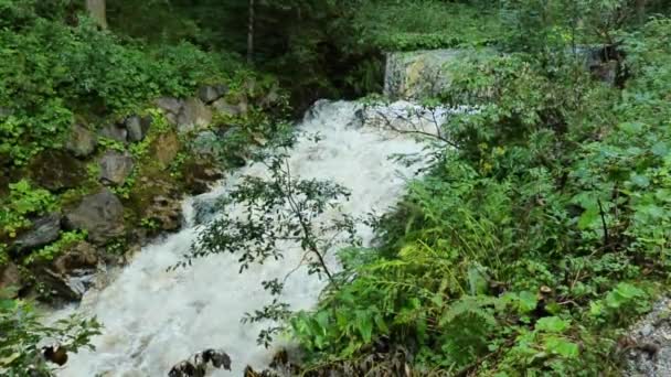 Гірські Лісові Річки Вода Кипить Наливає Великі Валуни Каміння Повільний — стокове відео