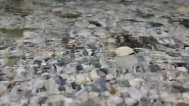 Dağ nehri ve orman şelaleleri kristal berrak su ile. Alp dağı rezervleri. Yavaş çekim. 4k görüntü