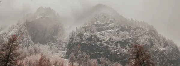 Dağ Kışı Manzarası Karların Altındaki Ağaçlar Bulutlu Gökyüzü Ile Güzel — Stok fotoğraf