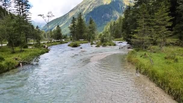 山川山水秀丽 水流清澈 松树山水清澈 自然美景 4K镜头 — 图库视频影像