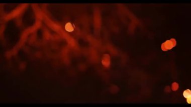 Gece gökyüzünde havai fişekler. Ters dönüş. Siyah bir arkaplanda çok renkli Bokeh dinamikleri. Yeni yıl kutlamaları. 4k görüntü